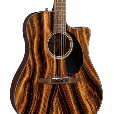Tiger's Eye Fender Electro Acoustic Guitar
